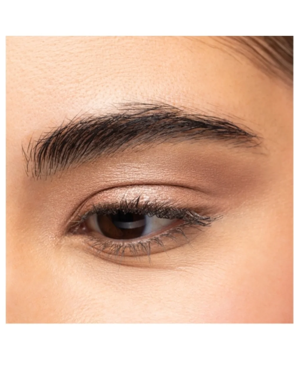 Red Aspen Pressed Powder Eyeshadow - Patient (Shimmery Taupe)